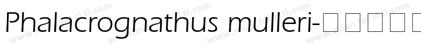 Phalacrognathus mulleri字体转换